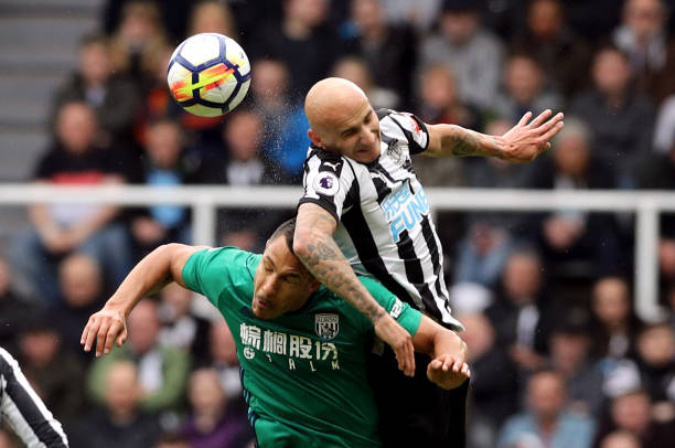 多样化的培 多样化的培