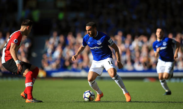 心理辅导师 心理辅导师