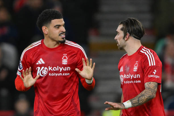 中的高球商 中的高球商